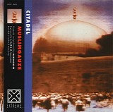 Muslimgauze - Citadel