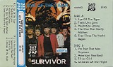 Survivor - Eye Of The Tiger