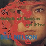 Bill Nelson - Youth Of Nation On Fire