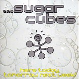 The Sugarcubes - Here Today, Tomorrow Next Week!