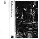 Merzbow - Flesh Metal Orgasm