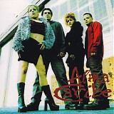 Alma Caribe - *** R E M O V E ***Alma Caribe