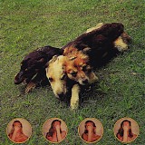 The World Of Skin - *** R E M O V E ***Ten Songs For Another World