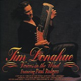 Tim Donahue - Voices In The Wind