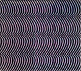 Merzbow - Pulse Demon