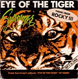 Survivor - Eye Of The Tiger