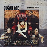 Sugar Bee - Good Morning Universe