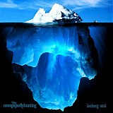newspaperflyhunting - Iceberg Soul