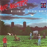 Mr. Mister - Welcome To The Real World