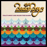 The Beach Boys - That's Why God Made The Radio