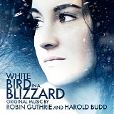 Robin Guthrie & Harold Budd - White Bird In A Blizzard