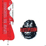 The Jon Spencer Blues Explosion - Controversial Negro