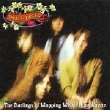 Small Faces - The Darlings of Wapping Wharf Launderette - the Immediate Anthology