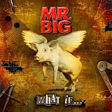 MR. BIG - What If...