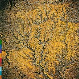 Various artists - Passion - Sources