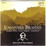 Johannes Brahms - Cd 16 - Horn Trio & Piano Quintet
