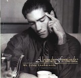 Alejandro FernÃ¡ndez - Me Estoy Enamorando