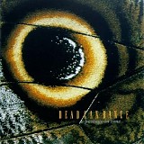 Dead Can Dance - A Passage in Time