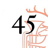 Renhornen - 45