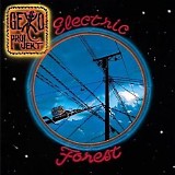 Gekko Projekt - Electric Forest