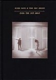Nick Cave & The Bad Seeds - Push The Sky Away