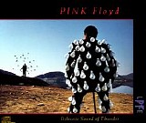 Pink Floyd - Delicate Sound of Thunder