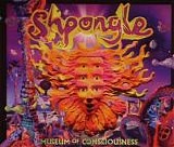 Shpongle - Museum Of Consciousness