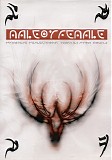 Male Or Female - Primitive Reflections Twisted From Sound