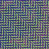 Animal Collective - Merriweather Post Pavilion