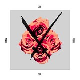 Xiu Xiu - Nina