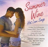 Various artists - Summer Wine (Hot Love Songs)