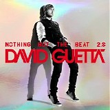 Various artists - Nothing But the Beat 2.0 (2nd Re-entry)