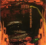 Intermix - Future Primitives