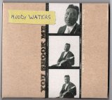 Muddy Waters - Disc2- You Shook Me (The Chess Masters V