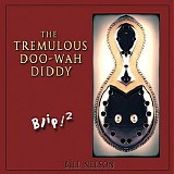 Bill Nelson - Blip! 2 The Tremulous Doo-Wah-Diddy