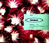 Orbital - Radiccio