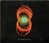Pearl Jam - Binaural