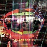 Animal Collective - Centipede Hz