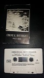 Chronical Disturbance - Foggy Creek