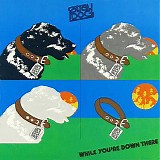 Stray Dog - While You're Down There