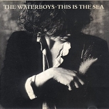 Waterboys, The - This Is the Sea