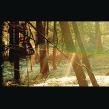 Childish Gambino - Camp [2011][iTunes-Rip][theLEAK]