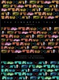 Pineapple Thief, The - Live 2014