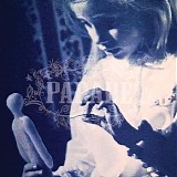 Parade, The - Connector