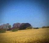 Sun Kil Moon - Benji