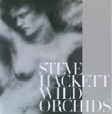 Steve Hackett - Wild Orchids