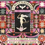 The Decemberists - What A Terrible World, What A Beautiful World