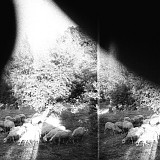 Godspeed You! Black Emperor - Asunder, Sweet And Other Distress