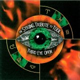 Vitamin String Quartet - Third Eye Open: The String Tri