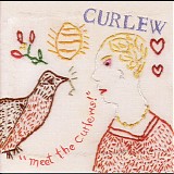 Curlew - Meet The Curlews!